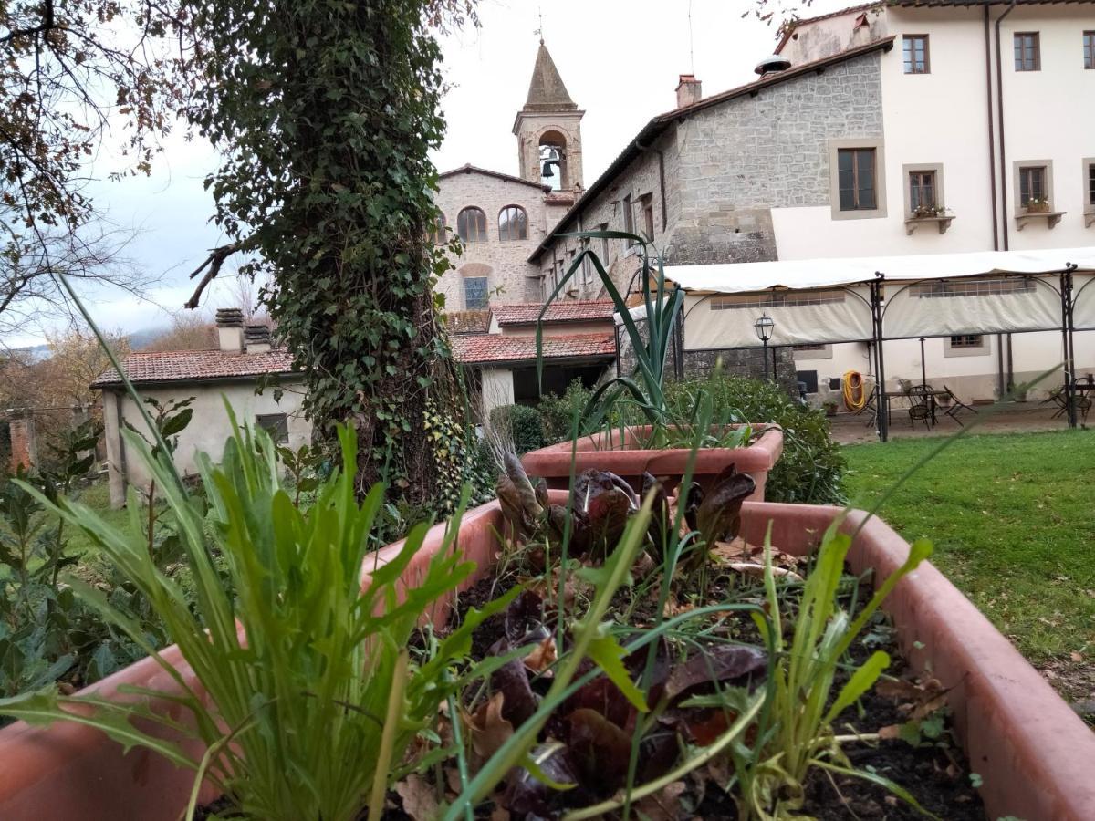 Villa Morelli Dimora Storica "Albergo Diffuso" Senza Stelle Londa 외부 사진